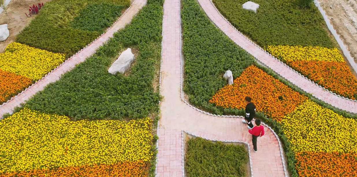 朱龙河示范河湖图片 (10).png